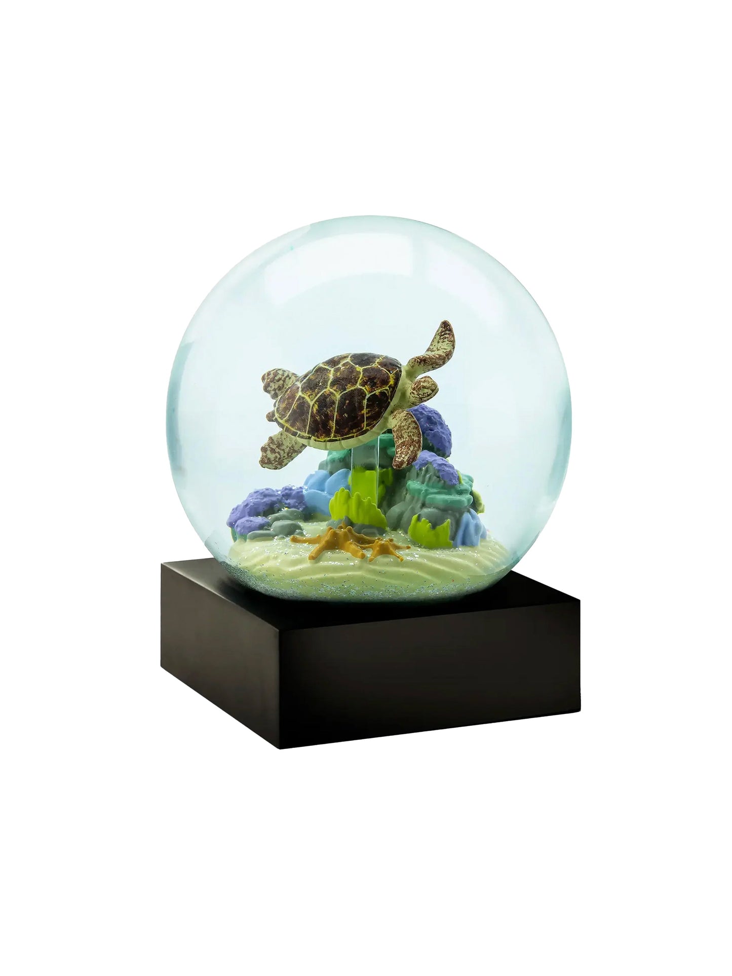 Sea Turtle Snow Globe