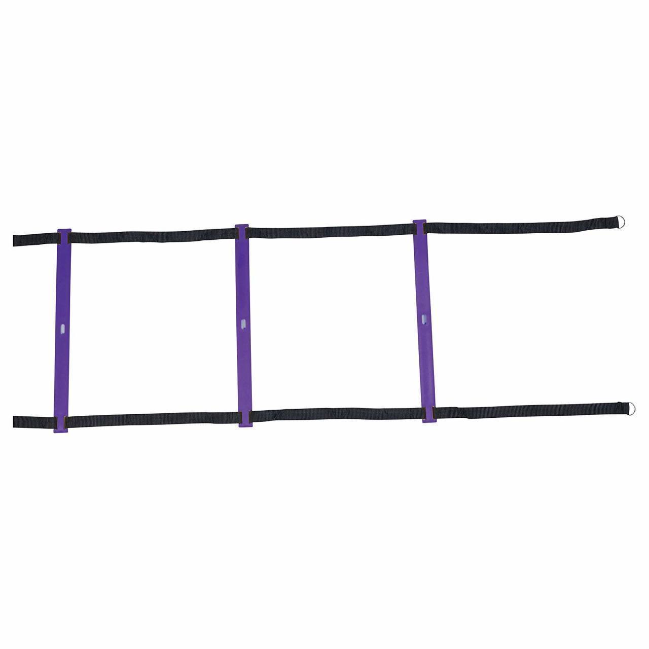 SPIRIT TCR Agility Ladder