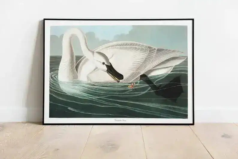 Vintage Bird Art Prints| Bird Poster