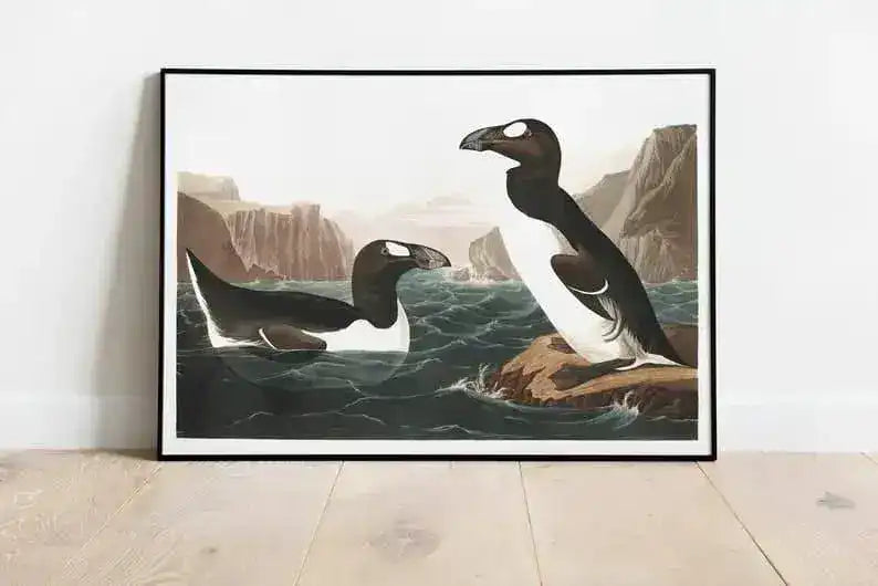 Vintage Bird Art Prints| Bird Poster