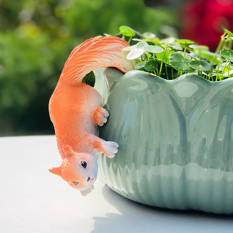 Decorated Garden And Courtyard Landscape At The Mouth Of Succulent Flower Pots