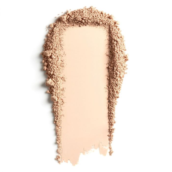 Cover Up Mineral Powder Concealer
