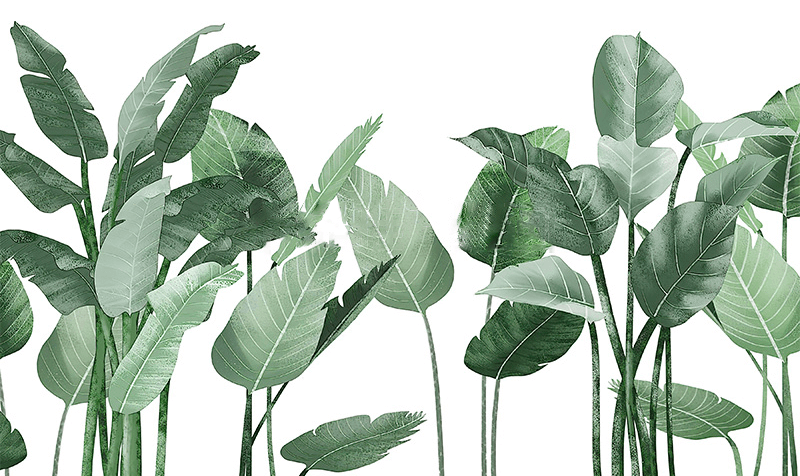 Rustic Green Tropical Leaves Wallpaper Mural
