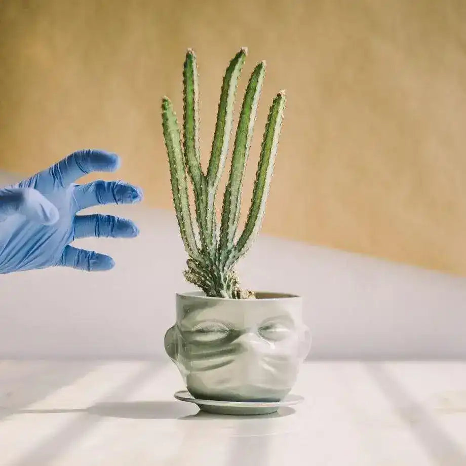 Face Mask Succulent Porcelain Planter