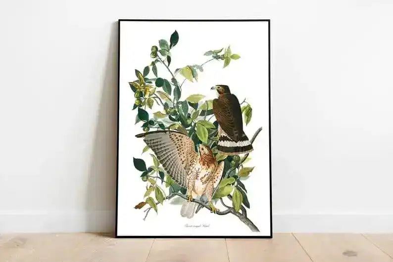 Vintage Bird Art Prints| Bird Poster