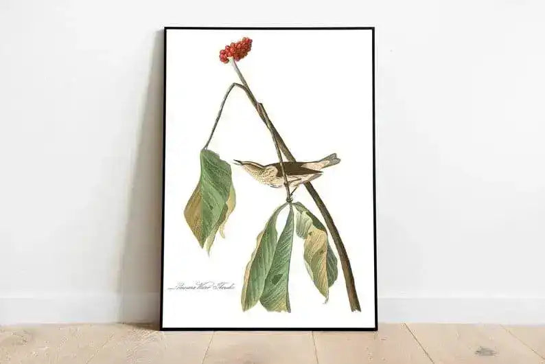 Vintage Bird Art Prints| Bird Poster