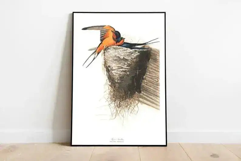 Vintage Bird Art Prints| Bird Poster
