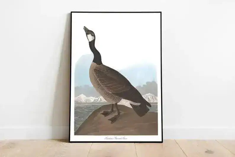 Vintage Bird Art Prints| Bird Poster
