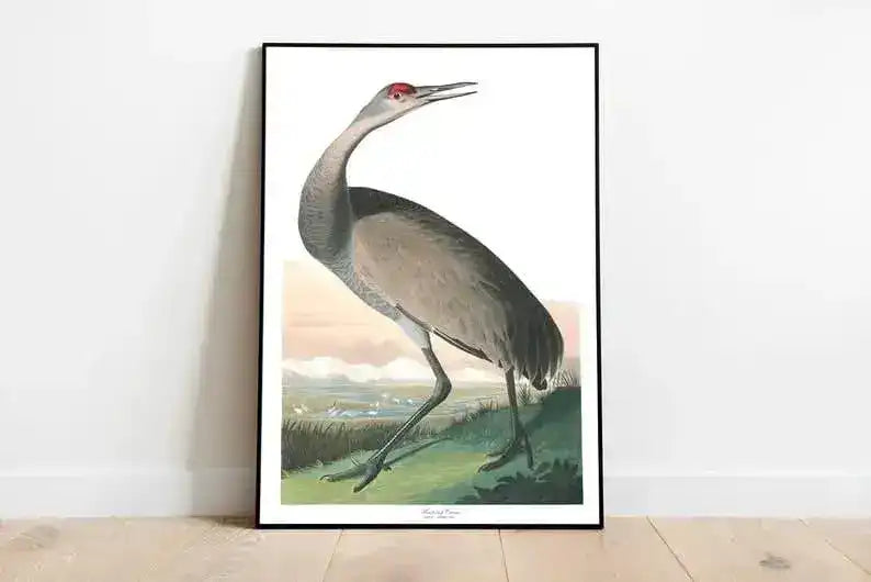 Vintage Bird Art Prints| Bird Poster