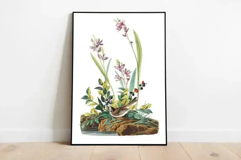 Vintage Bird Art Prints| Bird Poster