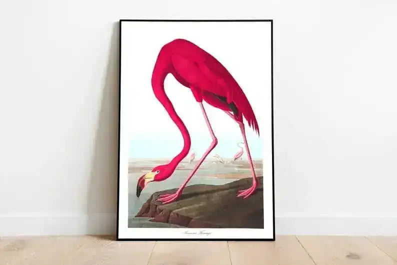 Vintage Bird Art Prints| Bird Poster