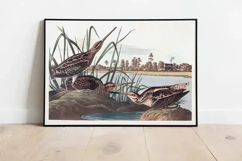 Vintage Bird Art Prints| Bird Poster