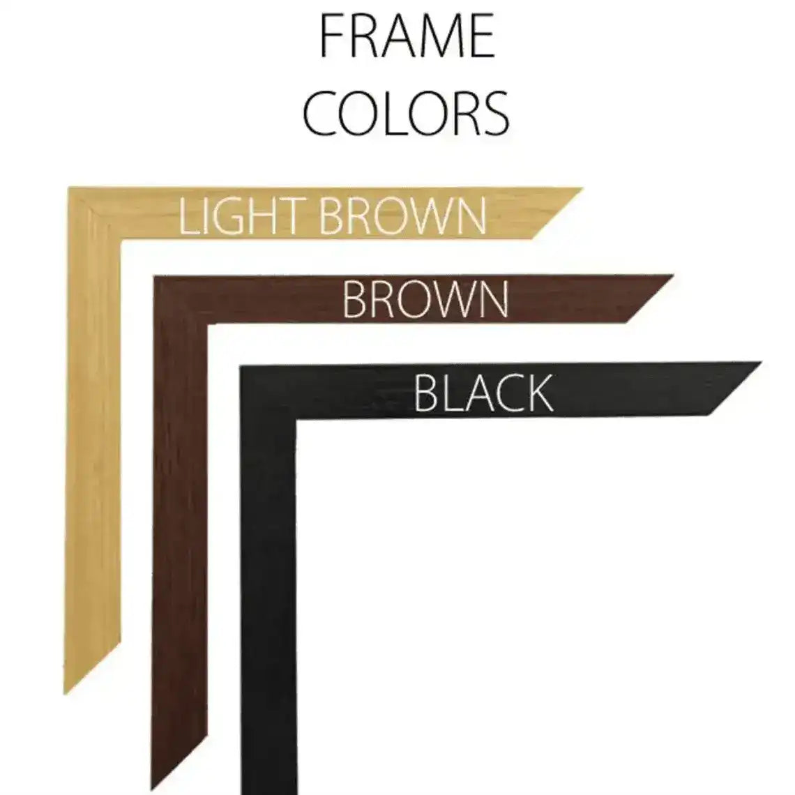 Vintage Botanical Mushroom Wall Poster Print