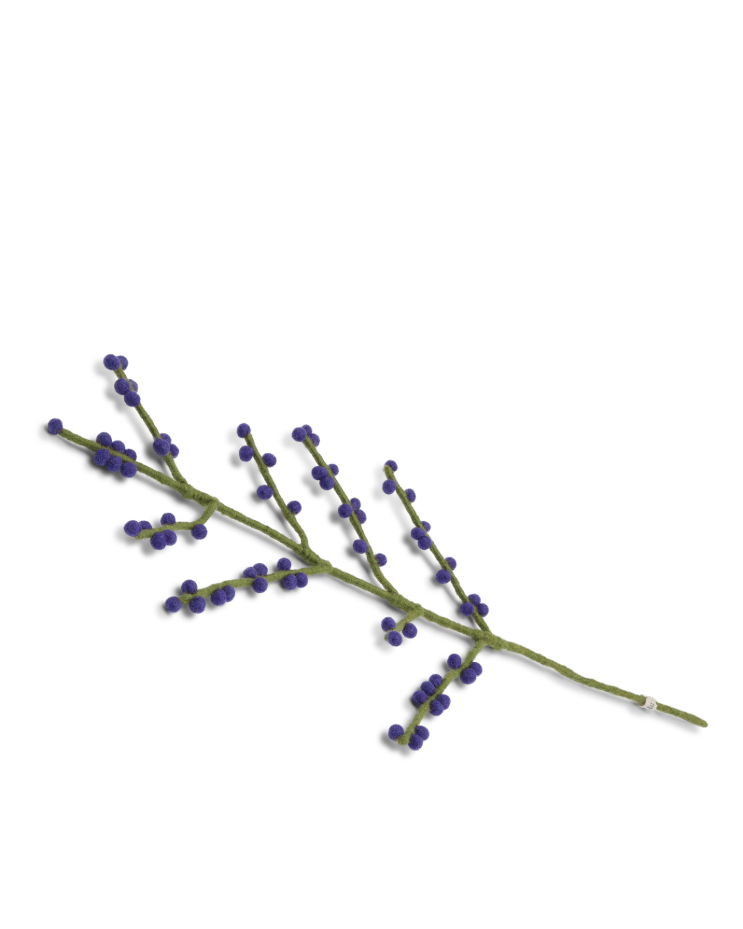 Branch Blue Berries