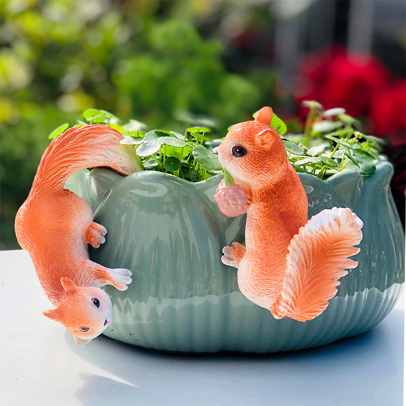 Decorated Garden And Courtyard Landscape At The Mouth Of Succulent Flower Pots