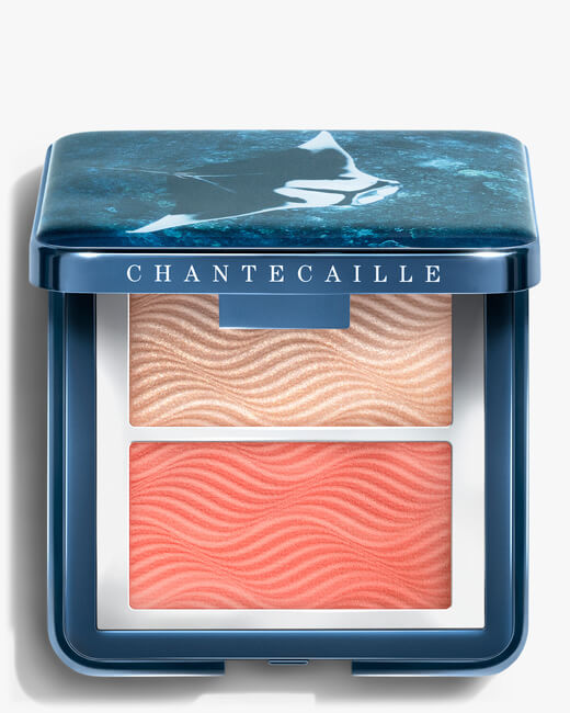 Radiance Chic Cheek and Highlighter Duo