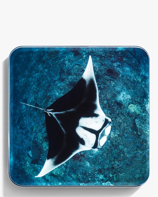 Radiance Chic Cheek and Highlighter Duo