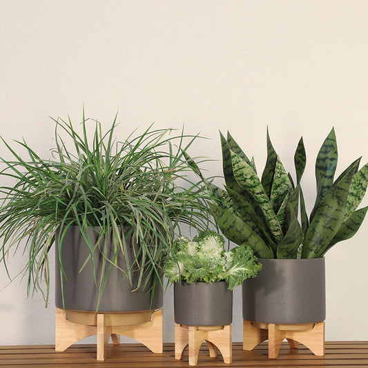 5" Matte Gray Ceramic Planter On Wooden Stand