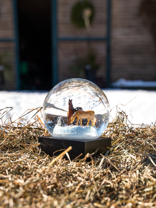 Horses Snow Globe