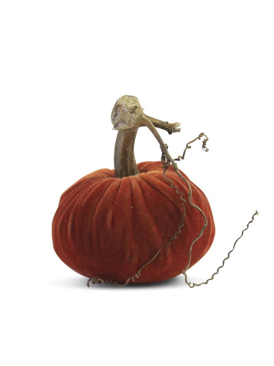 Plush Pumpkin Apricot Pumpkins Weston Table