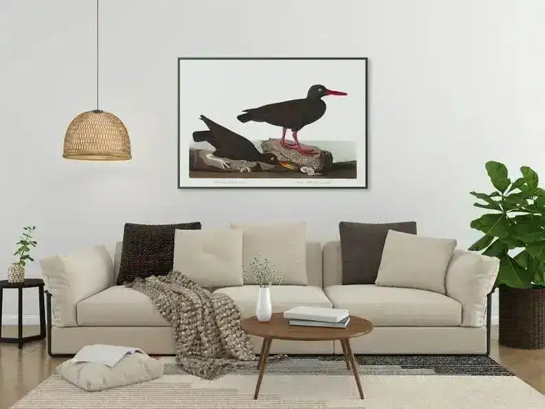 Vintage Bird Art Prints| Bird Poster
