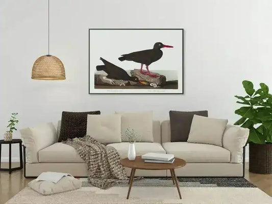 Vintage Bird Art Prints| Bird Poster