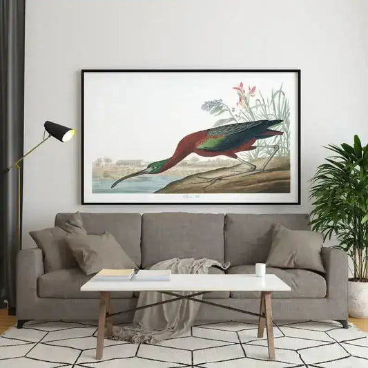 Vintage Bird Art Prints| Bird Poster