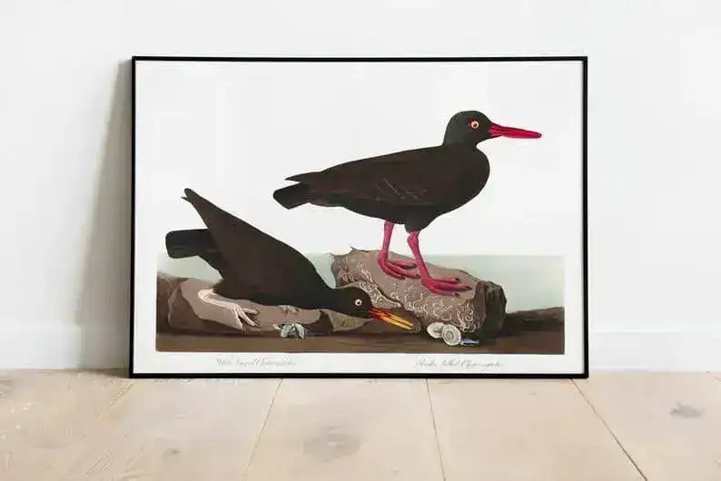 Vintage Bird Art Prints| Bird Poster