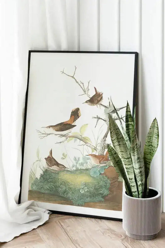 Vintage Bird Art Prints| Bird Poster