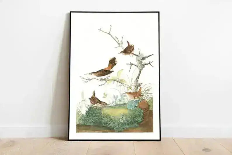Vintage Bird Art Prints| Bird Poster