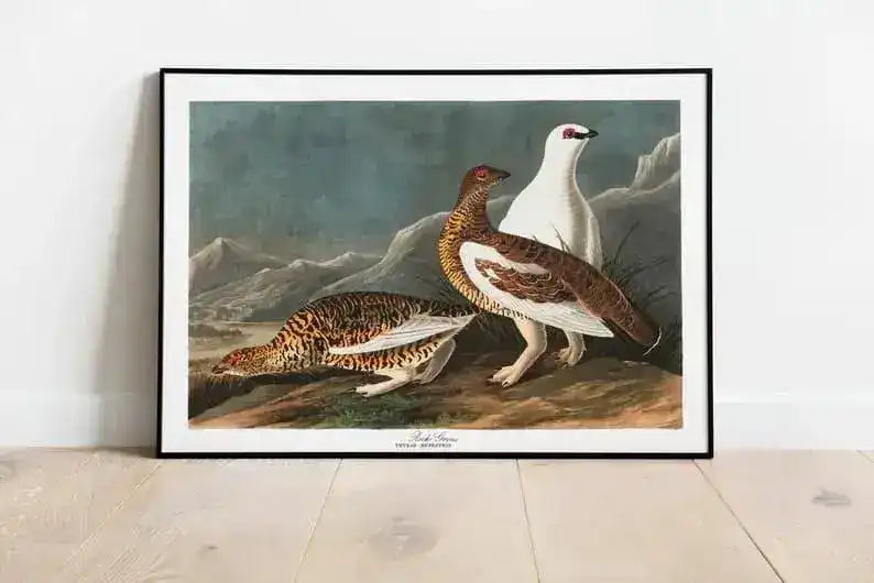 Vintage Bird Art Prints| Bird Poster