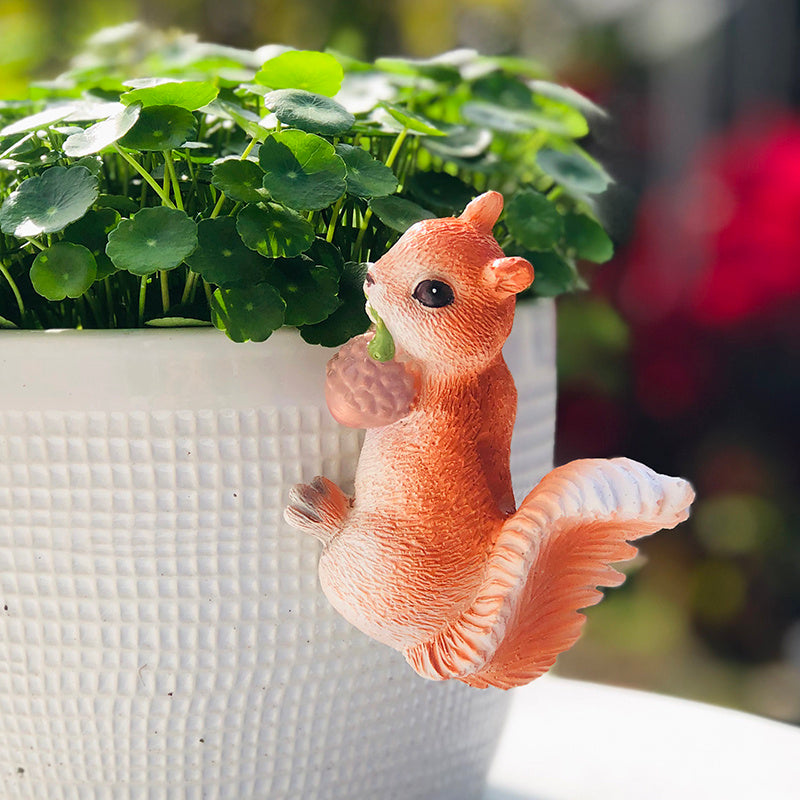 Decorated Garden And Courtyard Landscape At The Mouth Of Succulent Flower Pots