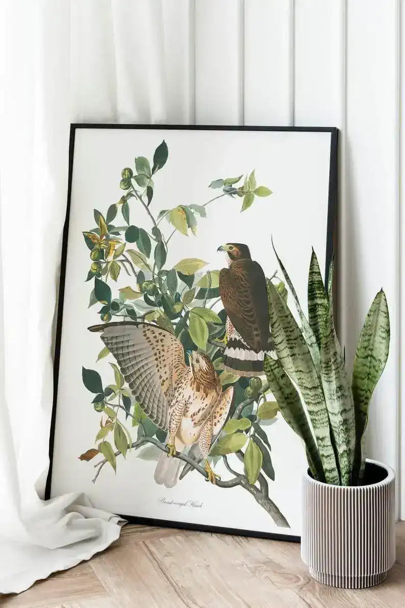 Vintage Bird Art Prints| Bird Poster