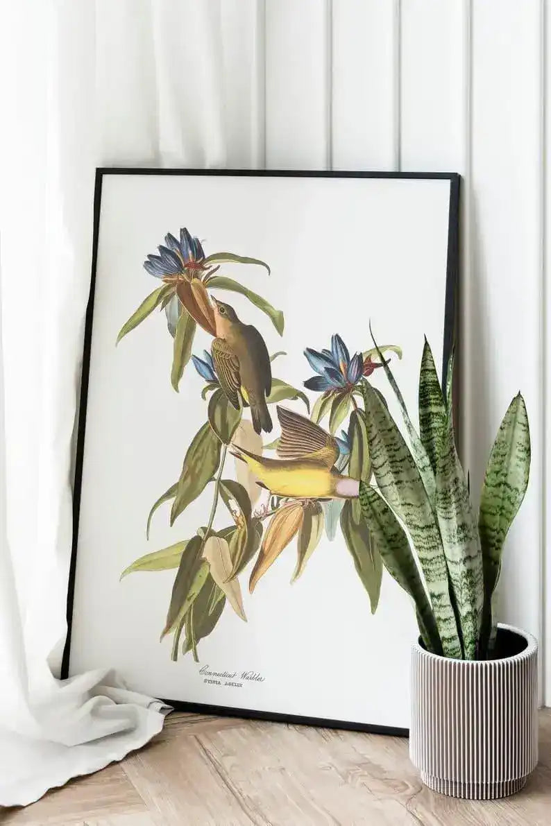 Vintage Bird Art Prints| Bird Poster