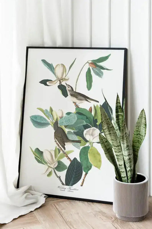 Vintage Bird Art Prints| Bird Poster