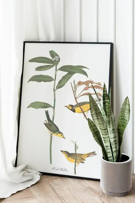 Vintage Bird Art Prints| Bird Poster