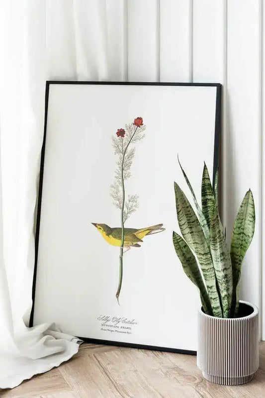 Vintage Bird Art Prints| Bird Poster