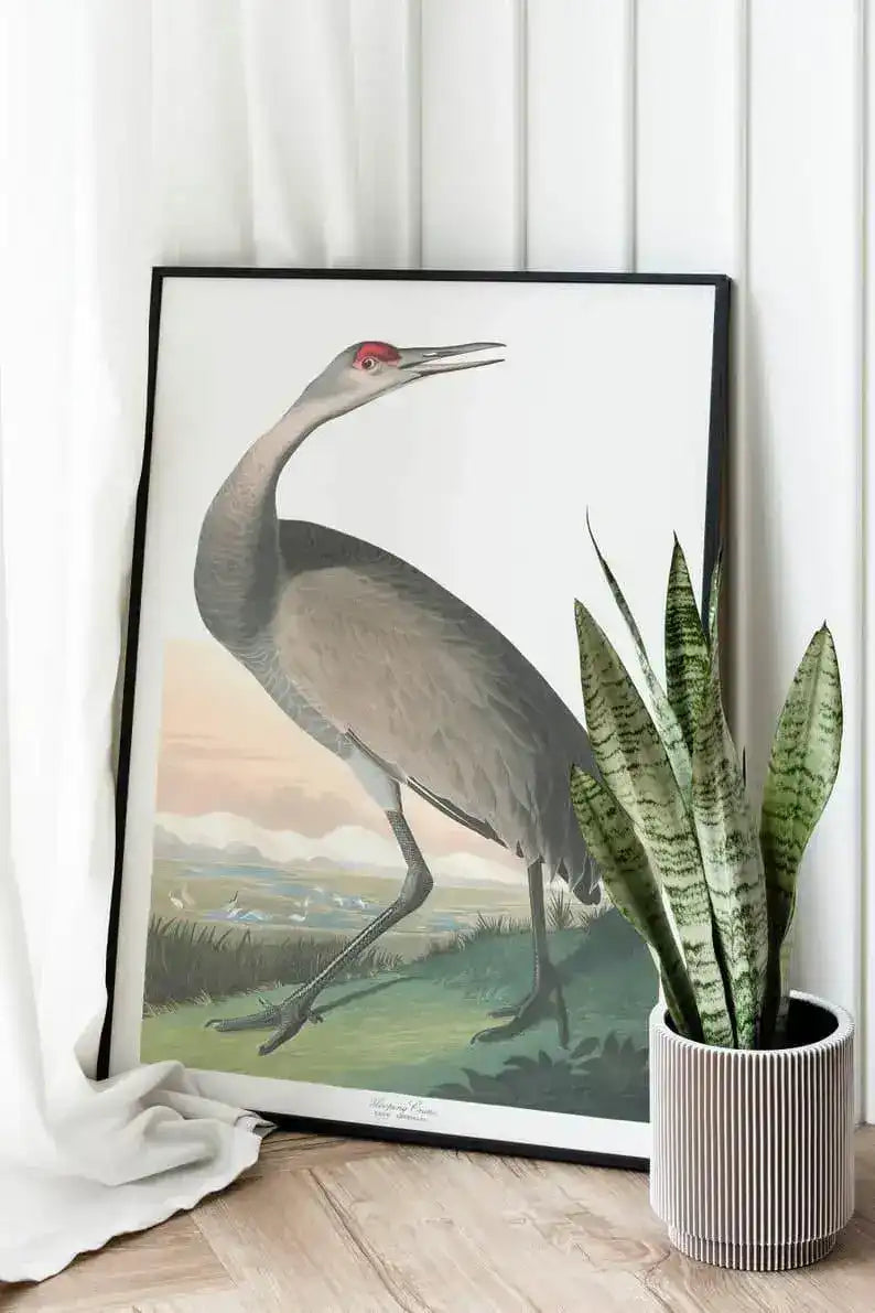 Vintage Bird Art Prints| Bird Poster