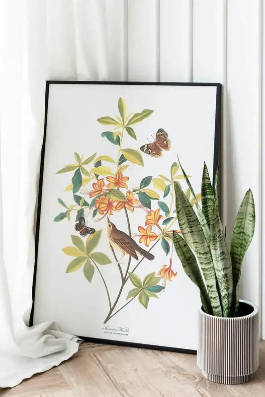 Vintage Bird Art Prints| Bird Poster