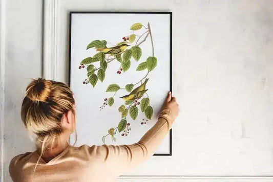 Vintage Bird Art Prints| Bird Poster