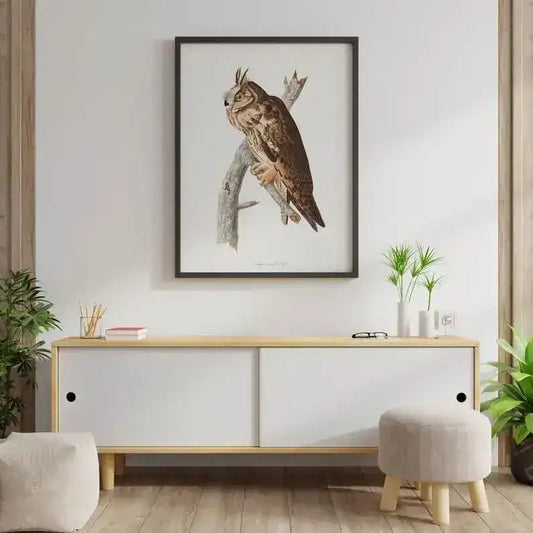 Vintage Bird Art Prints| Bird Poster
