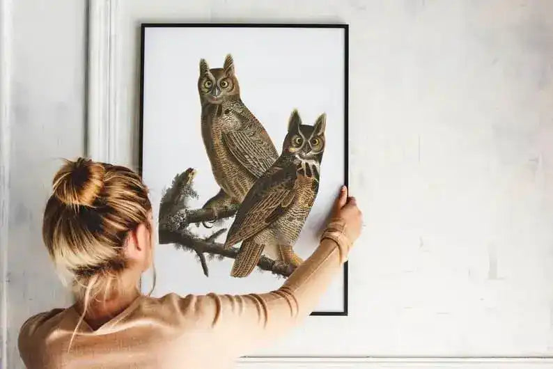 Vintage Bird Art Prints| Bird Poster