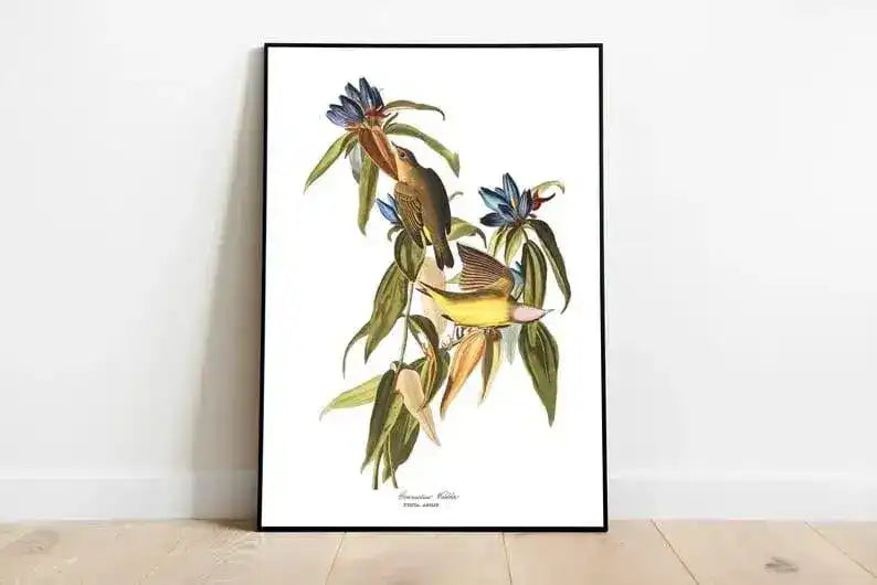 Vintage Bird Art Prints| Bird Poster