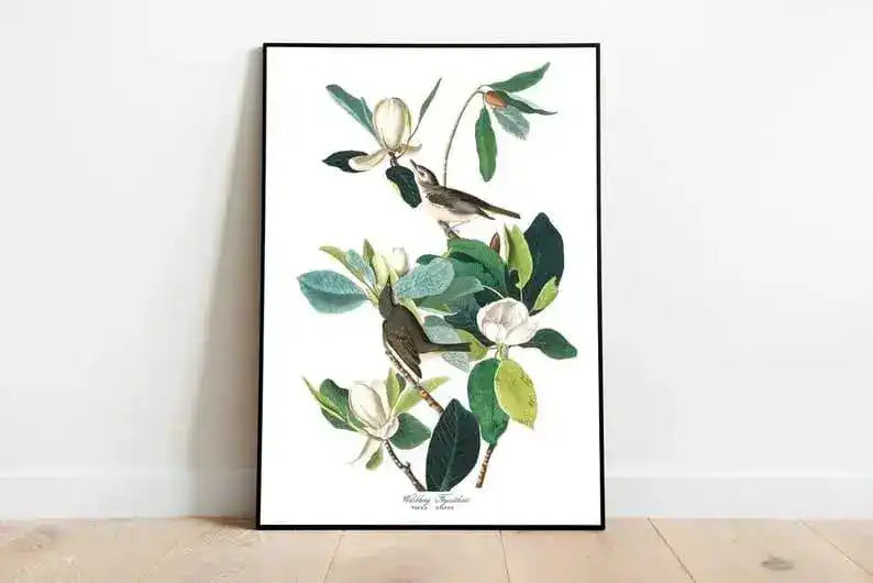 Vintage Bird Art Prints| Bird Poster