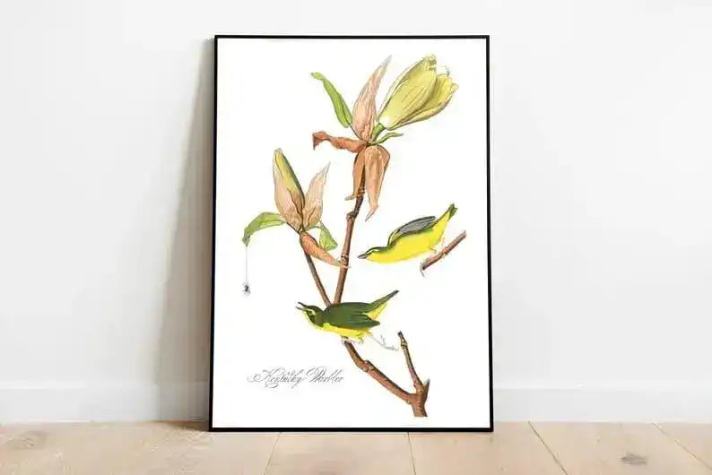 Vintage Bird Art Prints| Bird Poster