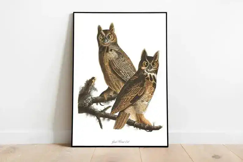 Vintage Bird Art Prints| Bird Poster